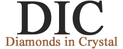 DIC